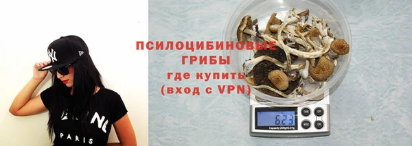 mix Белокуриха