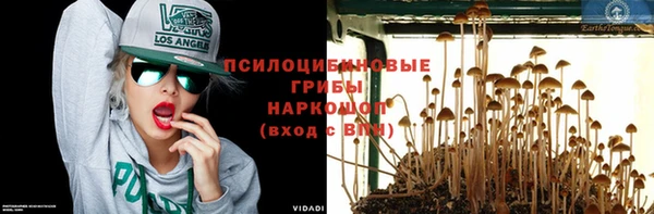 mix Белокуриха