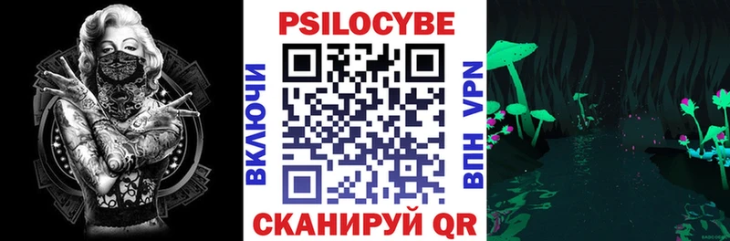 где можно купить наркотик Светлый Галлюциногенные грибы Psilocybine cubensis